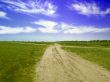 Rural sandy road among medows