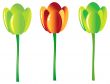 3 shiny isolated tulip, beautiful flowers, floral design element
