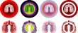 Lung Anatomy, human medical illustration, emblem, scheme, Illnes
