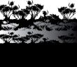 black & white natural background, plant silhouette 