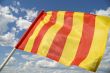 Yellow flag.