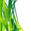 Fresh grass leaves background