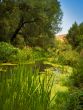 Summer landscape