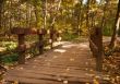 Wooden Bridge