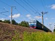  Suburban Train