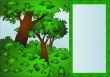 frame on background tree and bush 