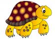 The Merry terrapin