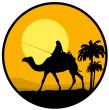 desert, sunset and the camel