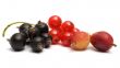 Berries.