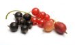 Berries.