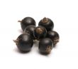 Black currant.