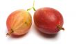 Gooseberry.