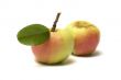 Apples.