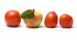 Fruit and vegetables.