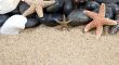 Nice sea shells on the sandy beach taken closeup,