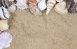 Nice sea shells on the sandy beach taken closeup, Shell border or frame