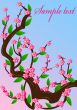 background cherry blossom