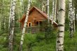 The wooden house in a forest