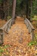 Wooden bridges in an autumn forest