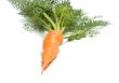 Carrot.
