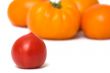 Tomatoes.