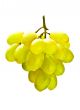 hanging bunch of white grape
