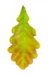 oak leaf