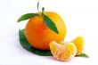 Tangerine with leaves on a white background