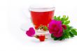 Herbal tea in cup of glass with dog-rose flowers on a white back