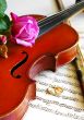 wedding rings and pink roses with violin on the note