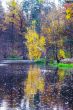 autumn lake in golden forest