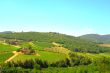  Chianti 
