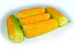 The Cob