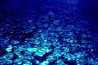 Water and stones