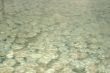 Water and stones