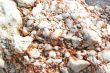 Texture of sea stone