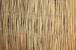 Bamboo