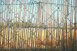 Bamboo fence