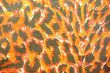 Fabric texture