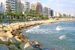 Trpical city