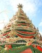 Fir tree