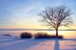 Winter sunset in Finland