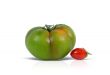 Green and red tomato