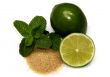Mojito`s ingredients