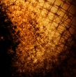 Lattice abstract