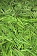 Green Beans