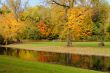Fall Foliage