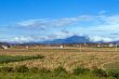 a beautiful rural landscape on a bright sunny day