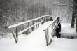 Snow Bridge