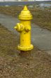 Fire Extinguisher